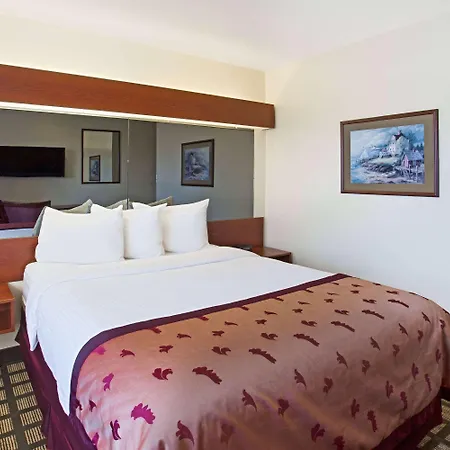 Microtel Inn & Suites By Wyndham Holland-2