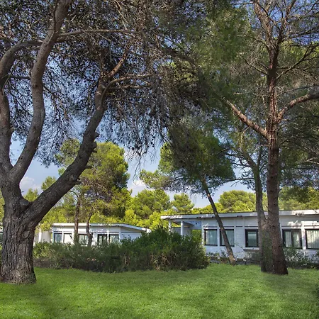 Ethra Reserve Alborèa-2