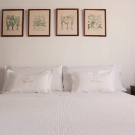 Hotel Rosa De oro-2