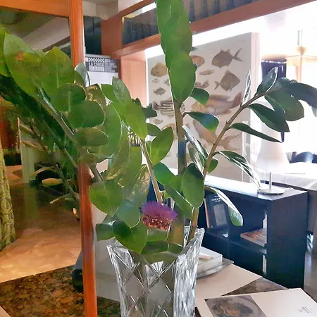 Hotel Ristorante Alcide-3
