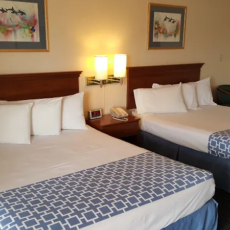 Flamingo Inn-2
