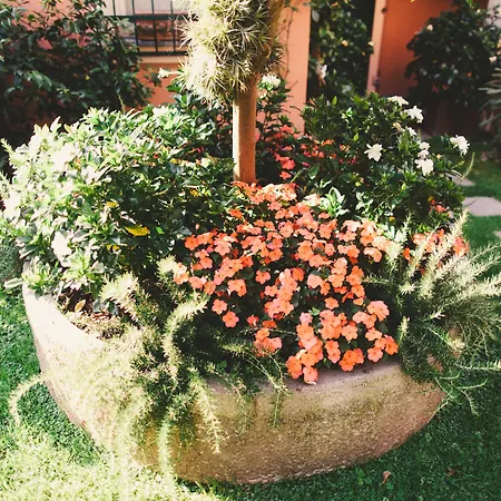 Albergo Minerva-3