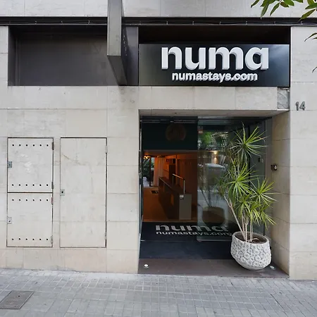 Numa Barcelona Brio-2