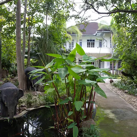 Eco Resort Chiang Mai-2