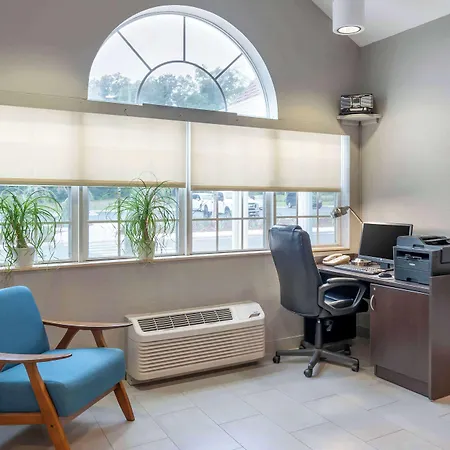 Microtel Inn & Suites By Wyndham Brooksville-2