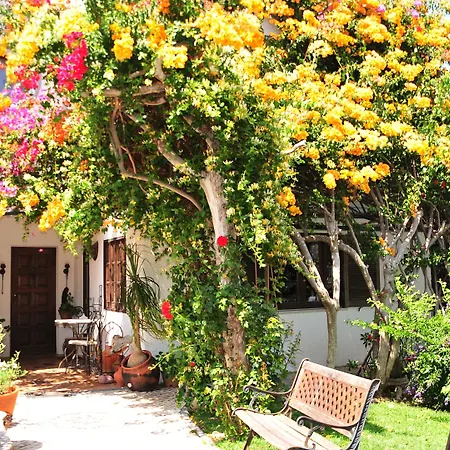 Uma Casa A Beira Sol-2