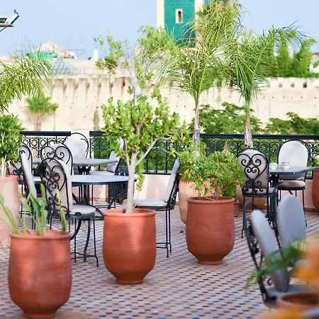 Riad Yacout-2
