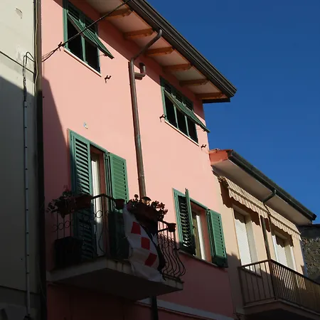 Burlamacco Gold-2