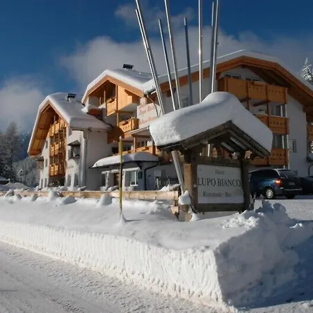 Wellness Hotel Lupo Bianco-2