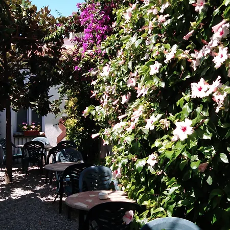 Hotel Mitus-3