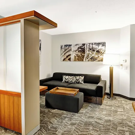 Springhill Suites By Marriott Columbia Fort Meade Area-3
