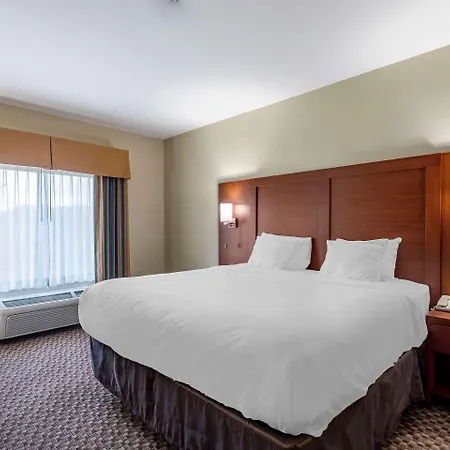 Comfort Inn & Suites Carbondale University Area-2