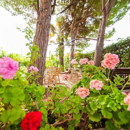 Suite House L'Isola Che Non C'è-3