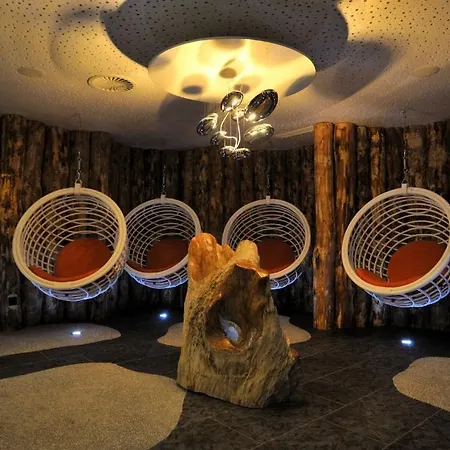 Hotel Alpine Palace-2
