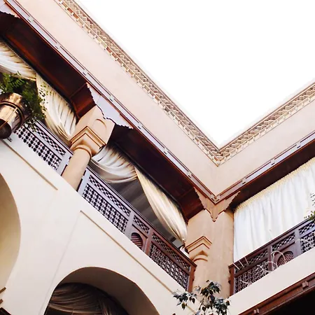 Riad Wow-3