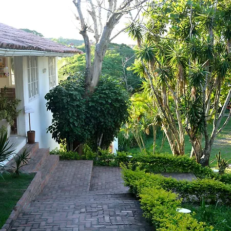Apa Pau Brasil-3