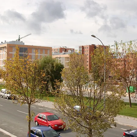 Iraipe Gorbea Auto Check-In-3