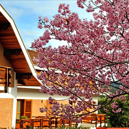 Hotel Matsubara-3