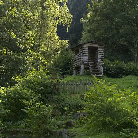 Landhotel Albers-2