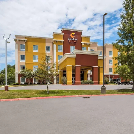 Comfort Suites Denham Springs-3