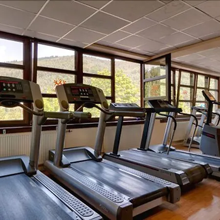 Hotel zum Neckartal Heidelberg-3
