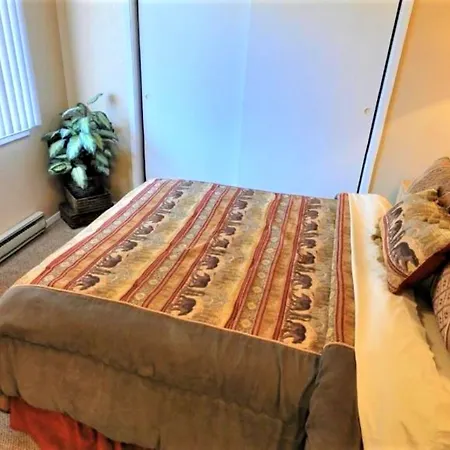 Pinecliff Village Resort-2