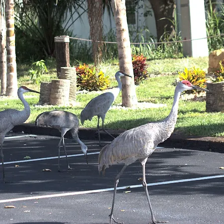 At Home Inn - Fort Pierce-2