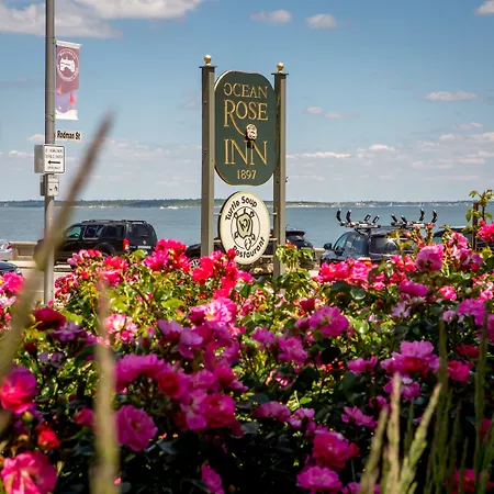 The Shore House-2