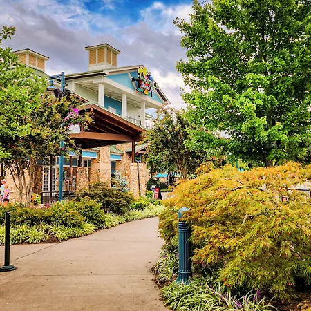 Margaritaville Island Hotel-3