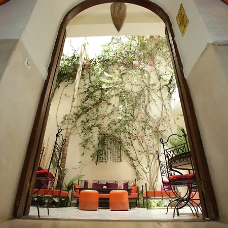 Riad White Flowers-2