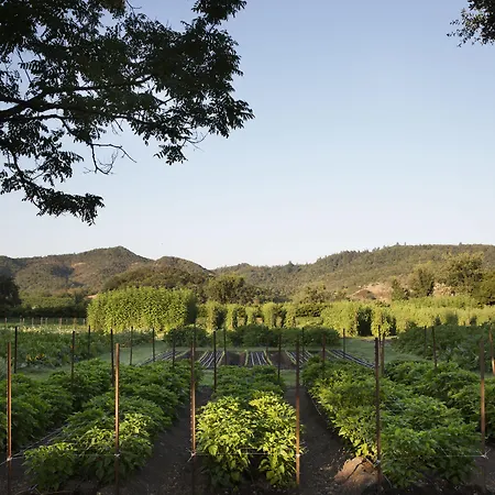 Napa Valley Lodge-2