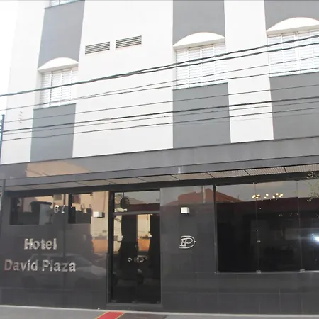 David Plaza Hotel-3