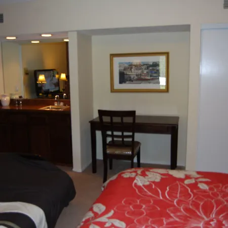Bed And Breakfast In Hollywood Hills-2