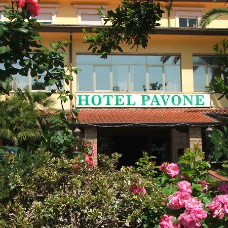 Grand Hotel Pavone-3