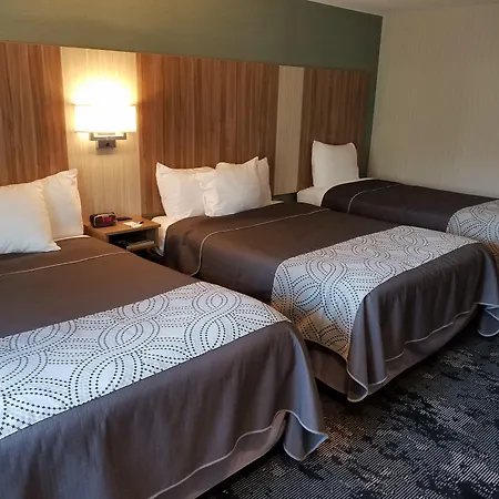 Aartpark Hotel Inn At Lewsiton-2