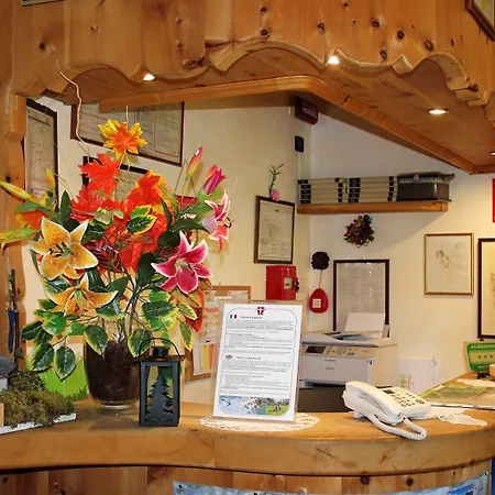 Hotel Villa Rina-2