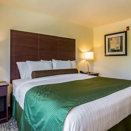 Cobblestone Hotel & Suites - Erie-3