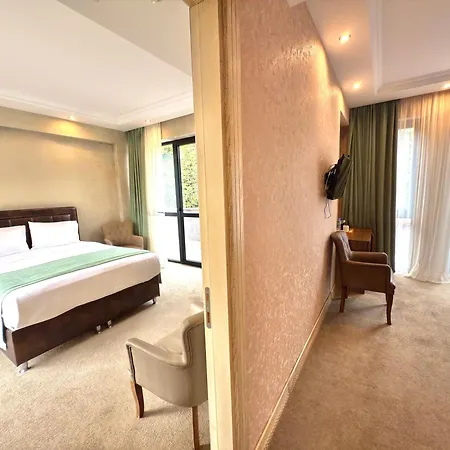 Boutique Hotel Mimino-3