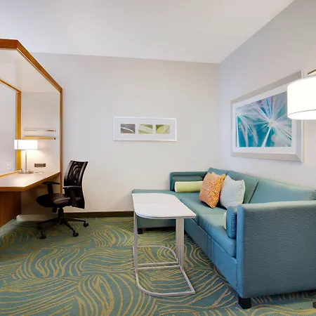 Springhill Suites By Marriott Murray-3