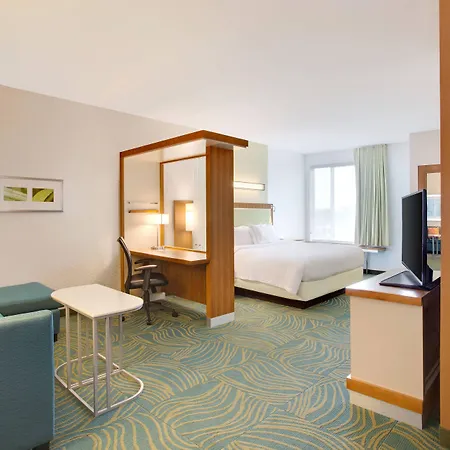 Springhill Suites By Marriott Murray-2