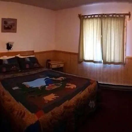 Alpine Motel Of Cooke City-2
