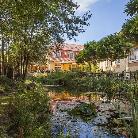 Hotel Zum Leineweber-3