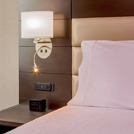 Hilton Garden Inn Nyc Financial Center/Manhattan Downtown-3