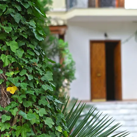 B&B Viale dei Pini-2