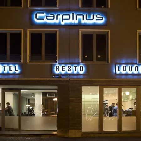 Hotel Carpinus-3