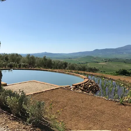 A440 In Tuscany-2