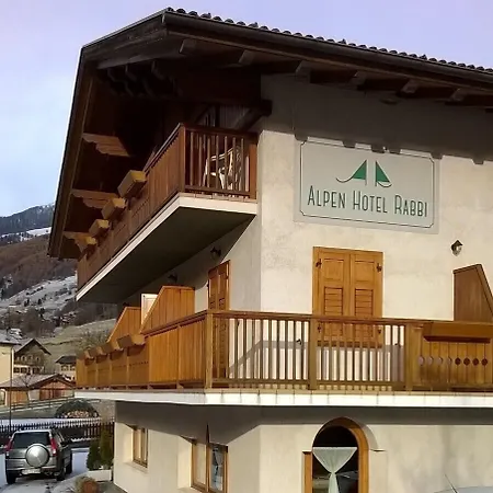 Alpen Hotel Rabbi-3
