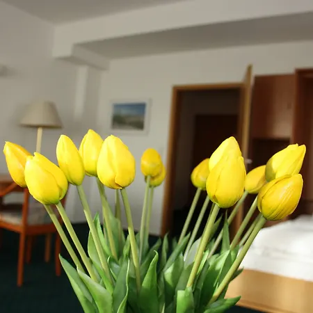 Hotel Am Markt-3