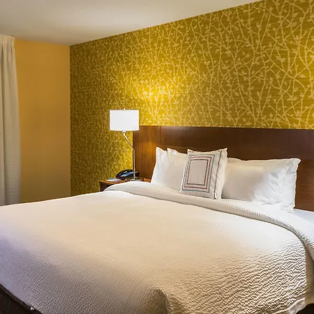 Fairfield Inn & Suites By Marriott Atlanta Fairburn-3