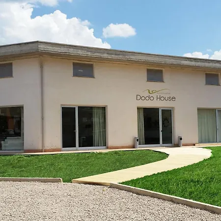 Dodo House-2